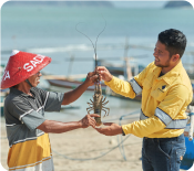 Sumbawa Timur Mining