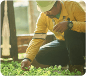 Sumbawa Timur Mining